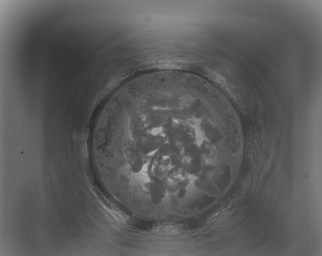 X0000072520299200607211430