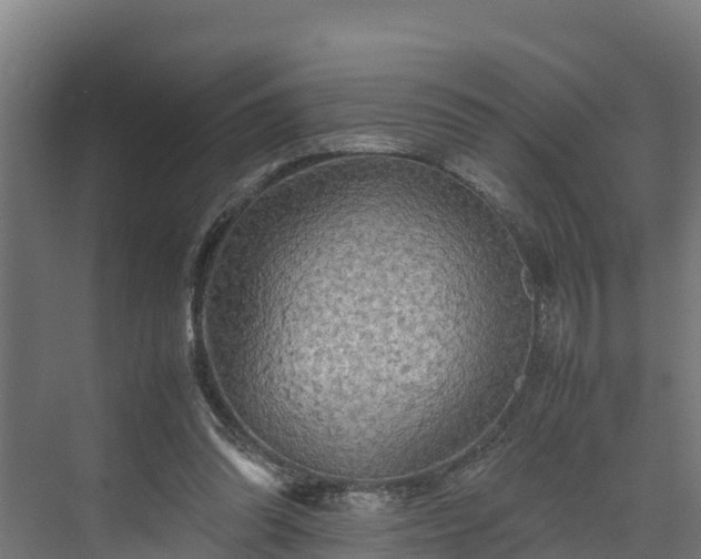 X0000072520302200607211430