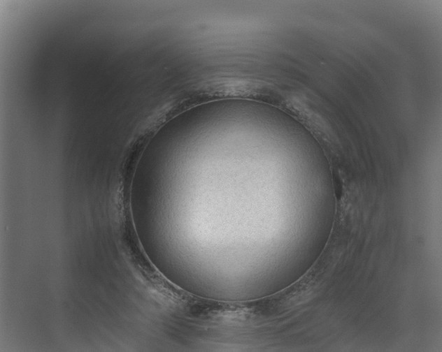 X0000072520306200607211430