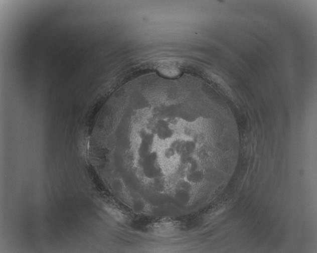 X0000072520307200607211430