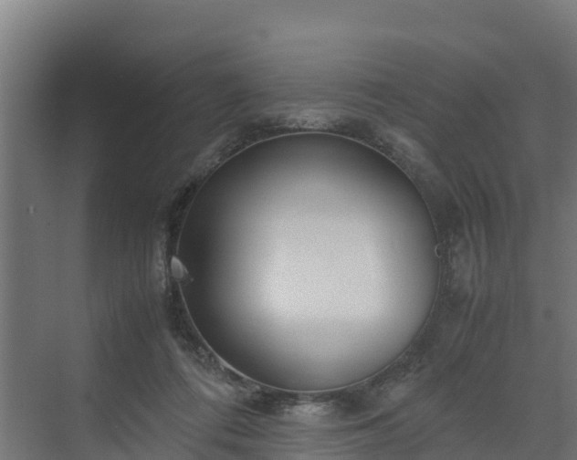 X0000072520312200607211430