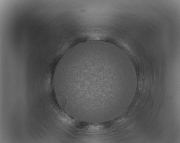 X0000072520314200607211430