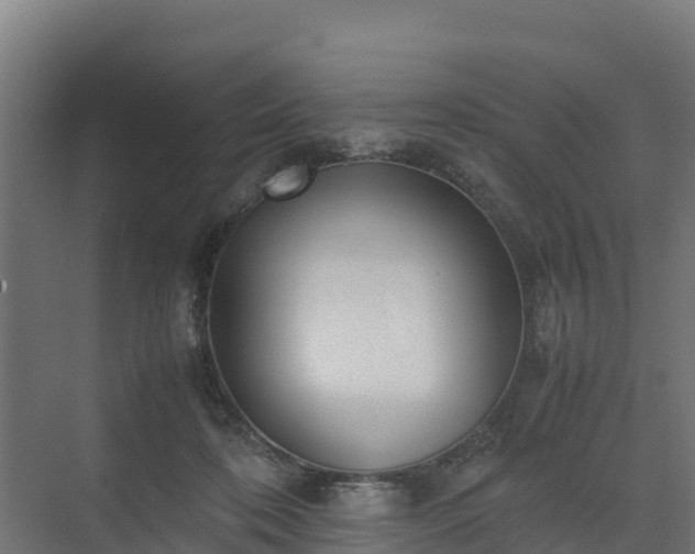 X0000072520316200607211430