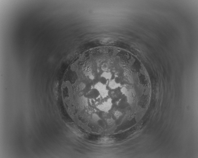 X0000072520319200607211430