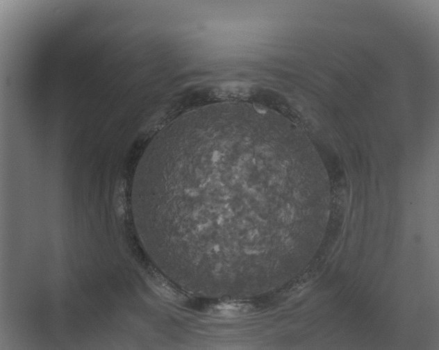 X0000072520323200607211430