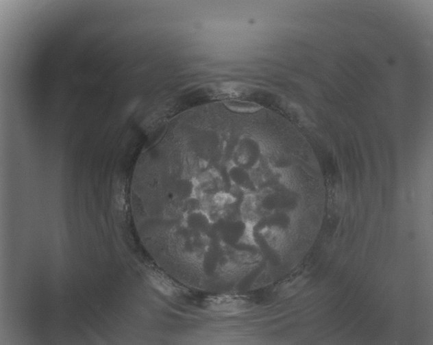 X0000072520331200607211430