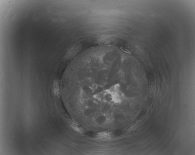 X0000072520335200607211430