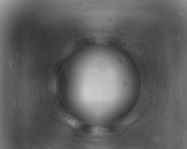 X0000072520336200607211430