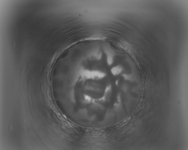 X0000072520337200607211429