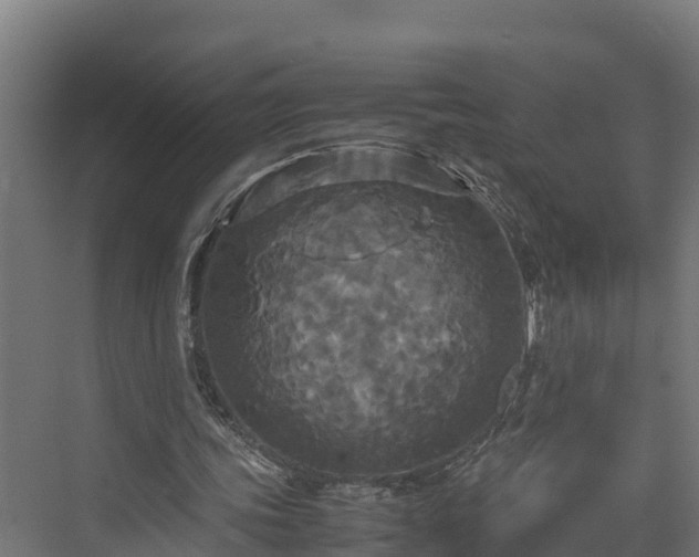 X0000072520339200607211429