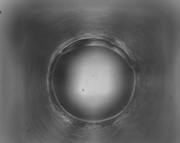 X0000072520340200607211429