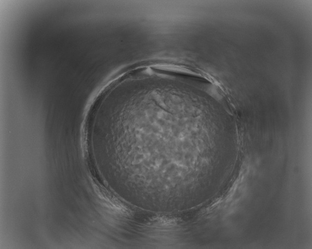 X0000072520343200607211429