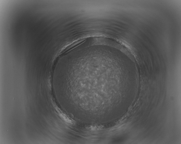 X0000072520345200607211429