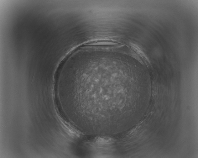 X0000072520346200607211429