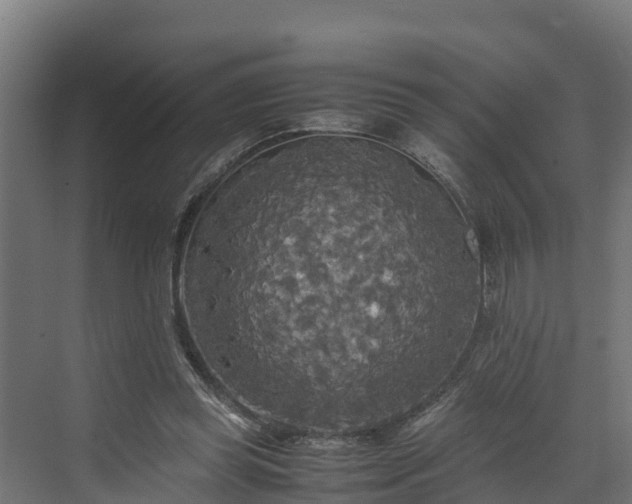 X0000072520349200607211429