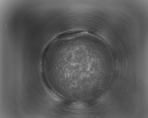 X0000072520351200607211429