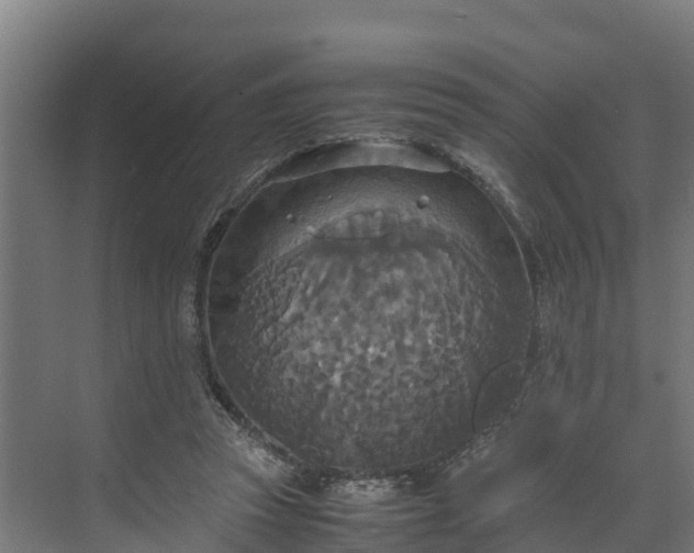 X0000072520353200607211429