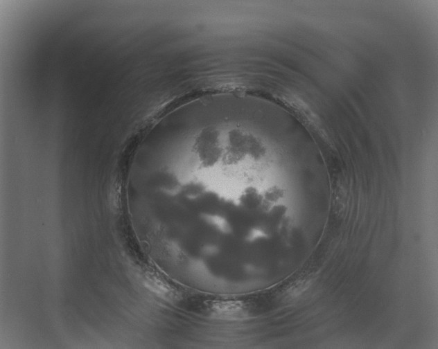 X0000072520355200607211429