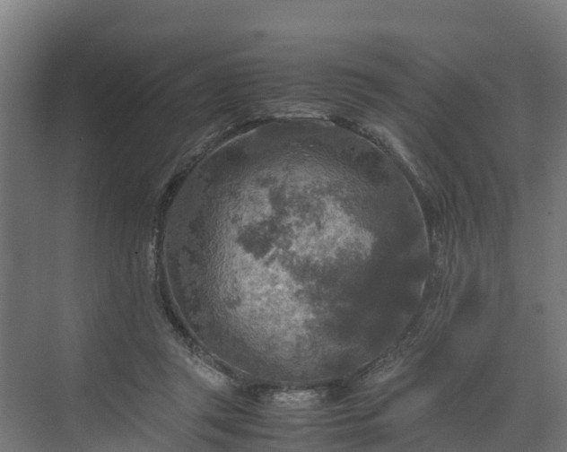 X0000072520357200607211429