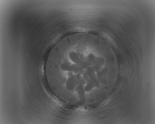 X0000072520358200607211429