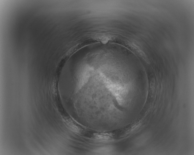 X0000072520359200607211429