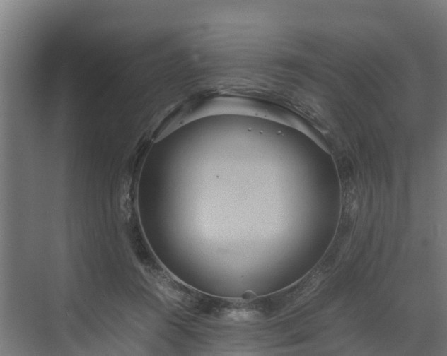 X0000072520360200607211429