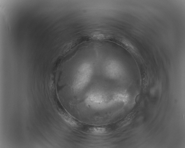 X0000072520361200607211429