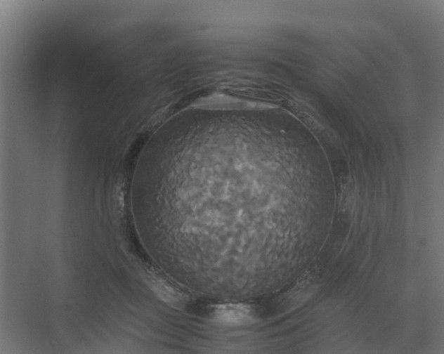 X0000072520363200607211429