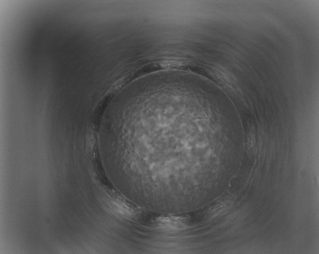 X0000072520367200607211429