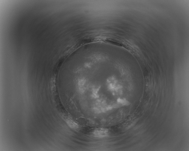 X0000072520369200607211429