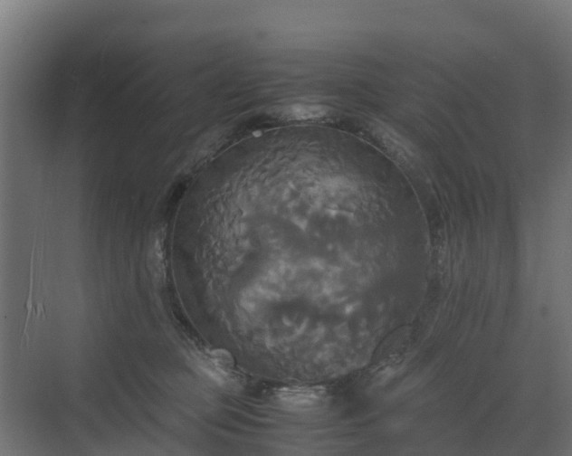 X0000072520373200607211429