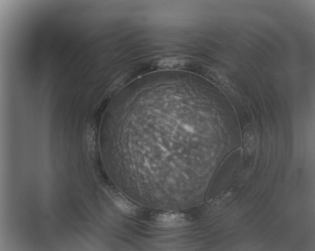 X0000072520375200607211429