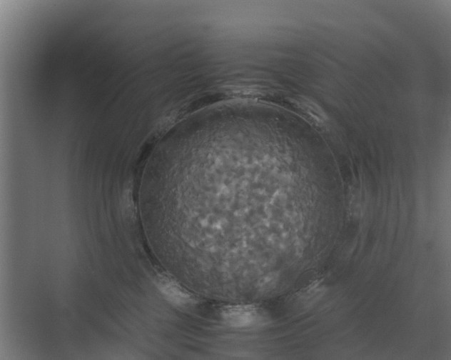 X0000072520377200607211430