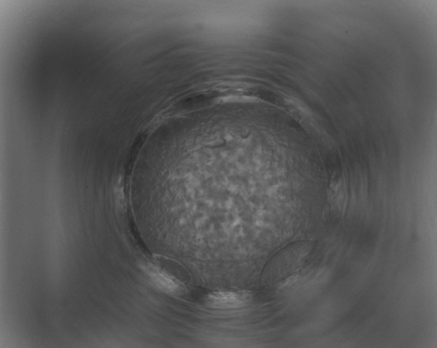 X0000072520381200607211430