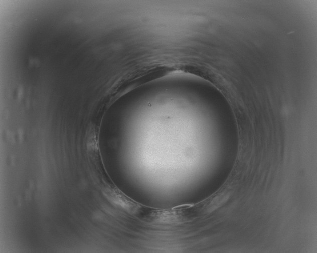 X0000072520384200607211430