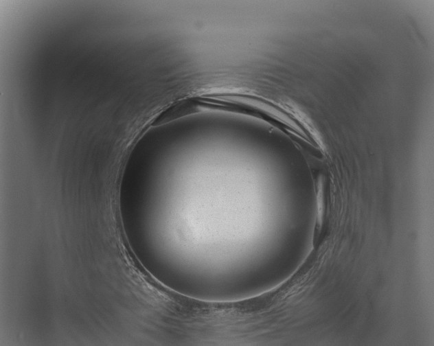 X0000072520385200607211429