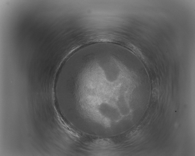 X0000072520386200607211429