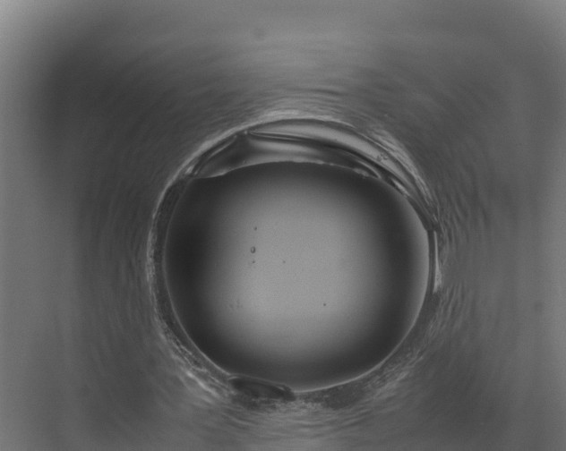 X0000072520387200607211429