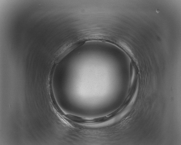 X0000072520389200607211429