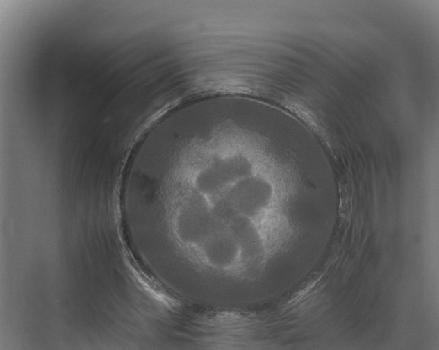 X0000072520390200607211429