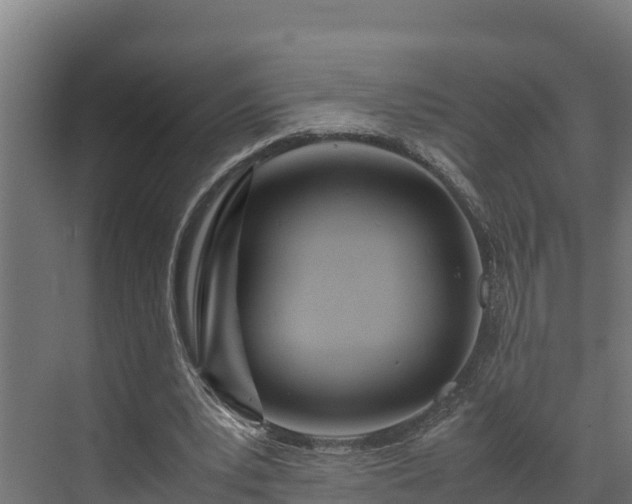 X0000072520391200607211429