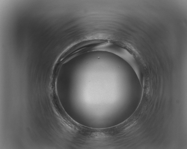 X0000072520392200607211429