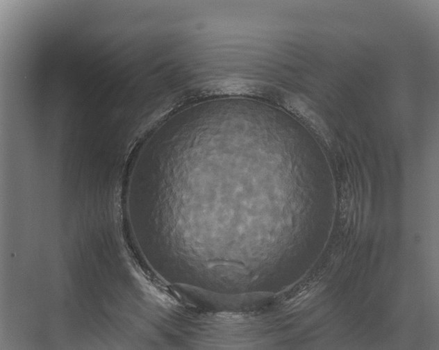 X0000072520394200607211429