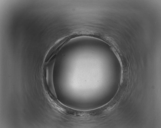 X0000072520395200607211429