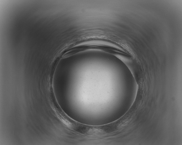 X0000072520397200607211429