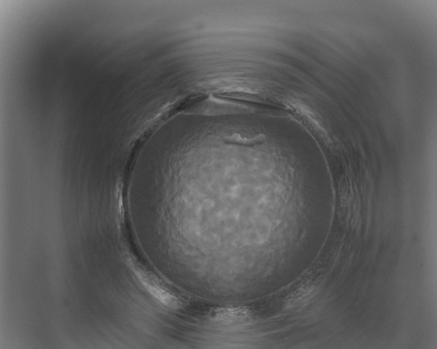 X0000072520398200607211429