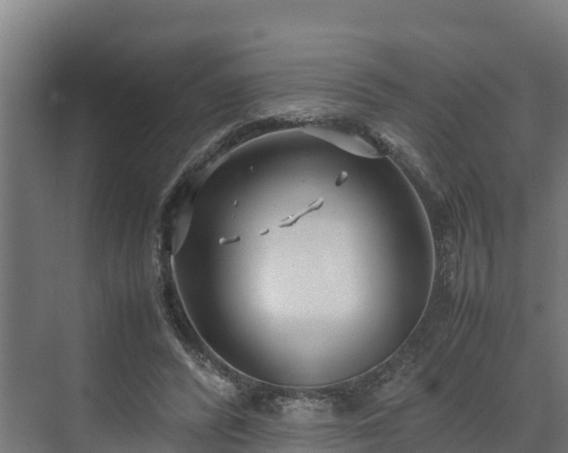 X0000072520400200607211429