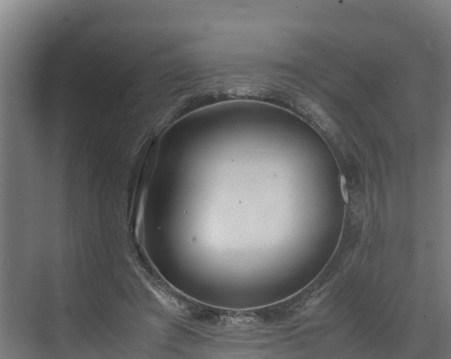 X0000072520401200607211429