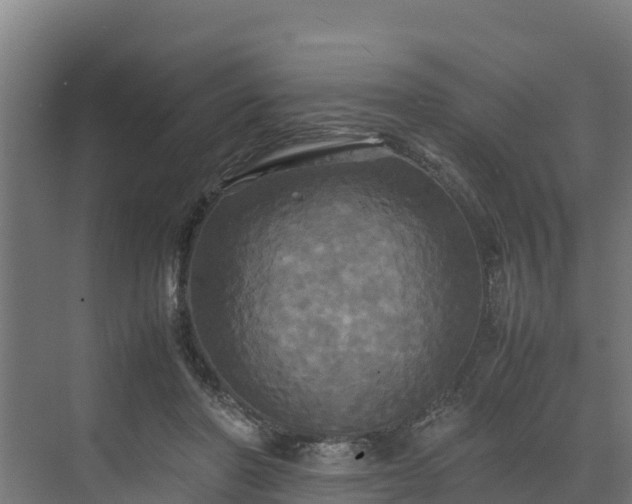 X0000072520406200607211428