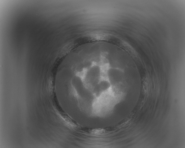 X0000072520410200607211428